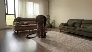 Fatma ile Her Telden türbanlıtemizlikevhanımı Kanalı Canlı Yayın videoları Part 9