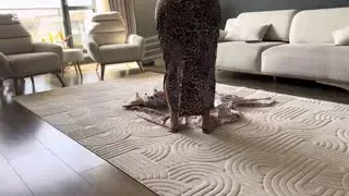 Fatma ile Her Telden türbanlıtemizlikevhanımı Kanalından ifşa videoları Part 3