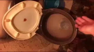 özenle arşivledim amatör köle039lerdi bunlar siyahlıyı bir köpek kulübesinde beslemek isterdim açıkçası çok tatlı Part 6